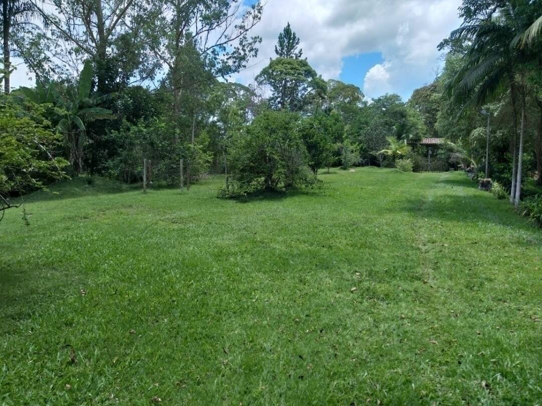 Fazenda à venda com 5 quartos - Foto 6