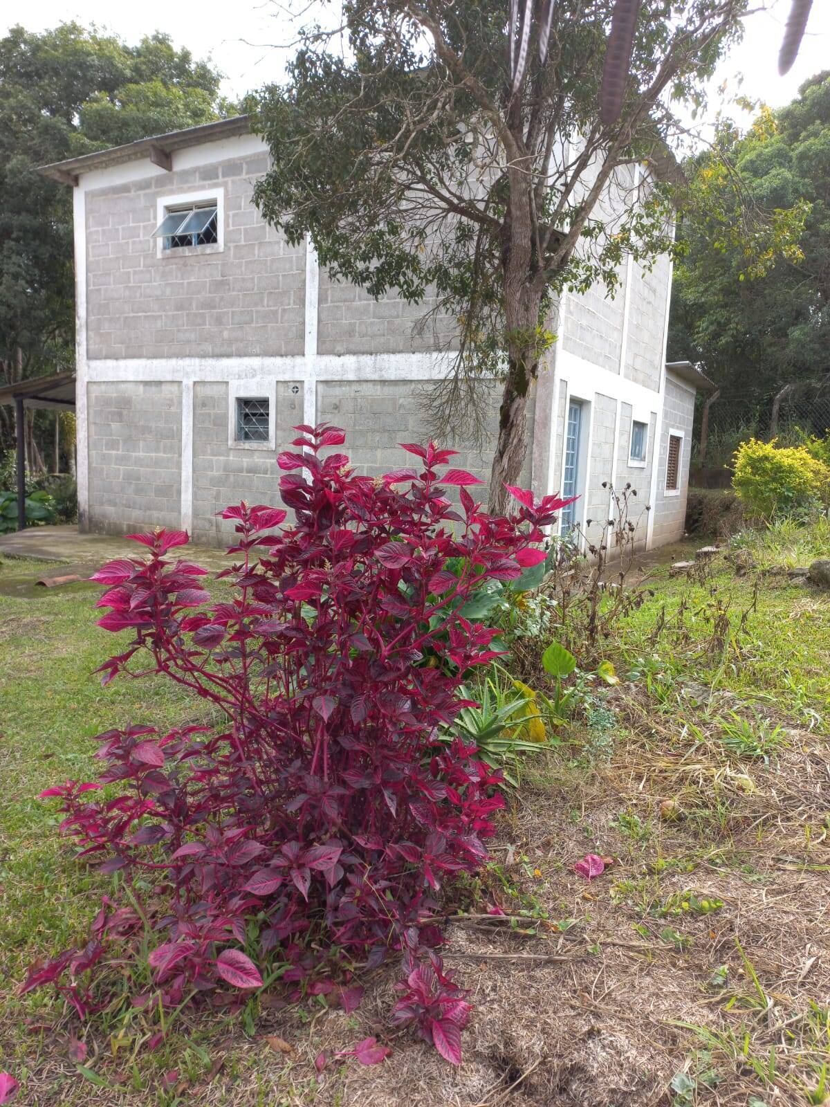 Casa à venda com 2 quartos, 1000m² - Foto 7